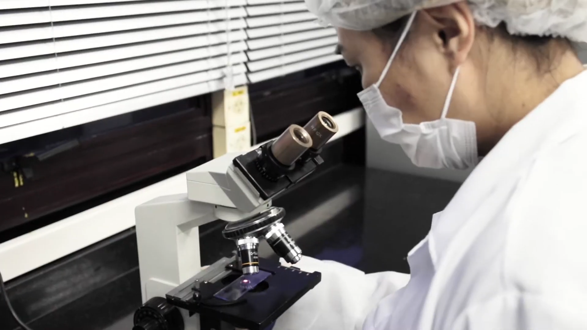 Garantia da Qualidade