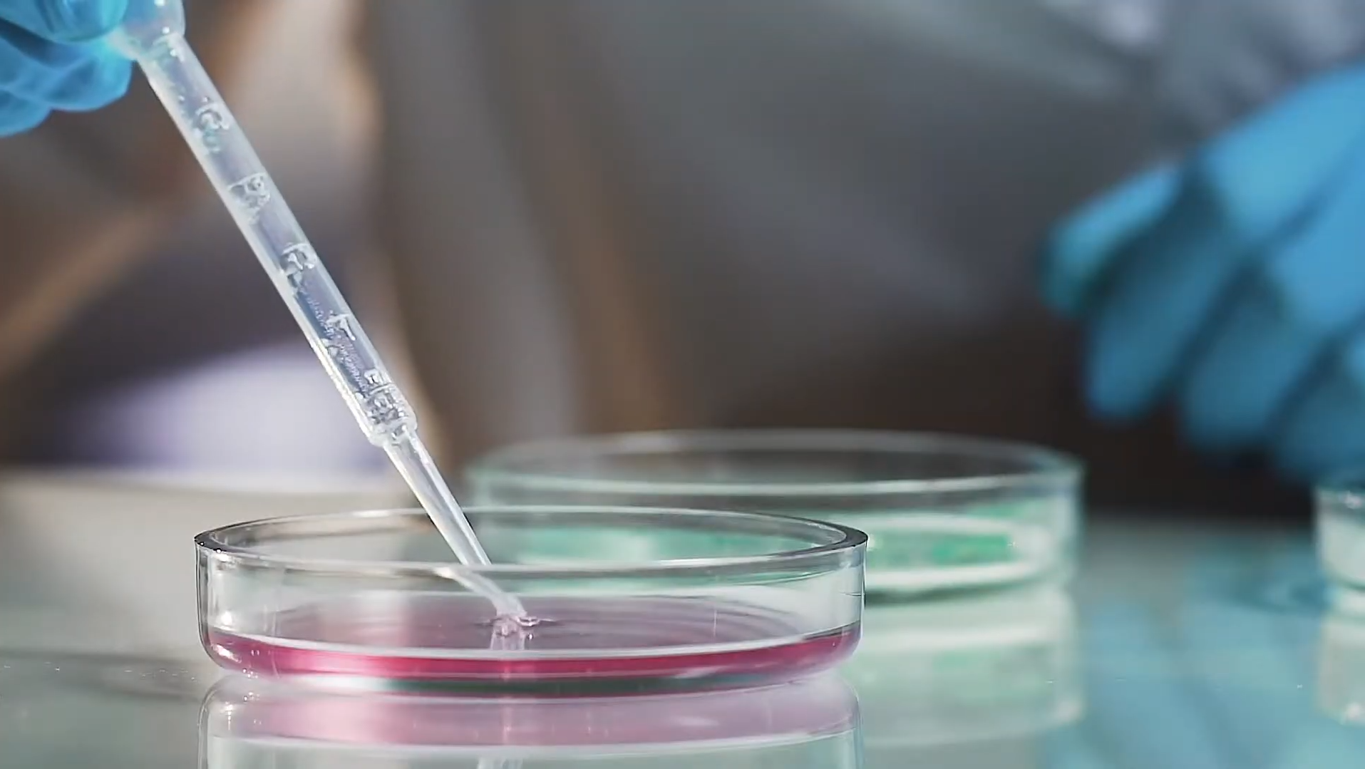 Pesquisa e Desenvolvimento